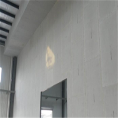 隔墙新型建筑材料掺多种工业废渣的ALC|ACC|FPS模块板材轻质隔墙板